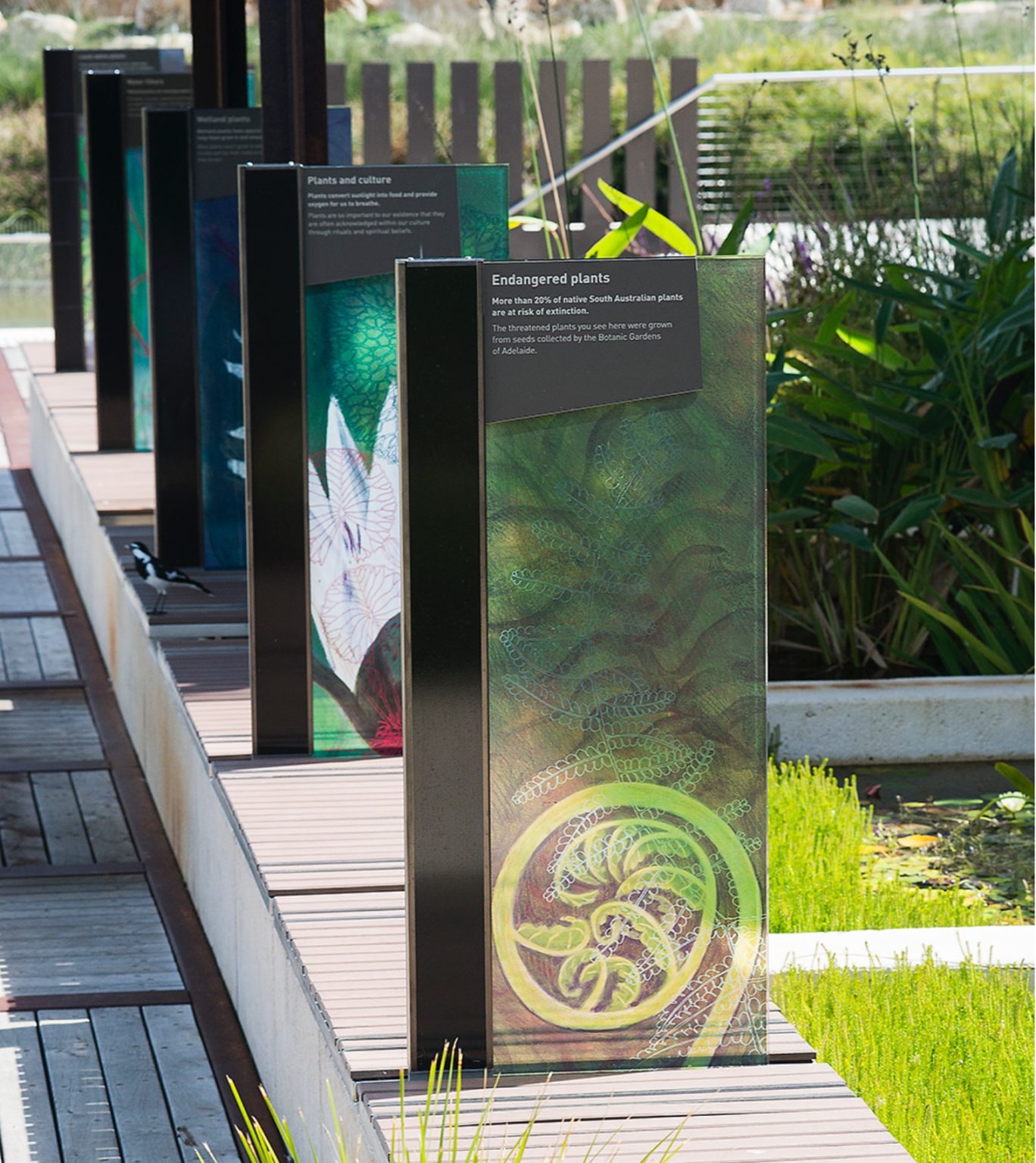 Adelaide Botanic Gardens