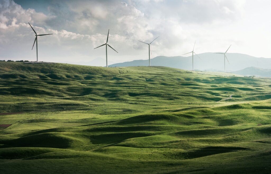 Energy & Resources Sector