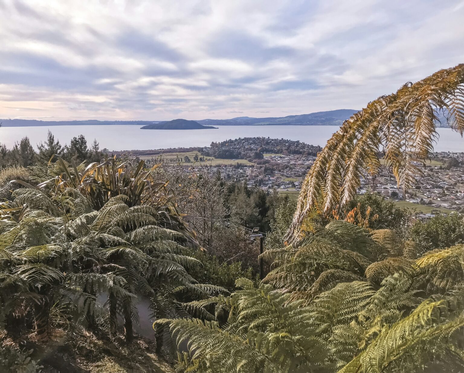 Rotorua City Wayfinding Strategy & Design